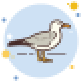 pigeon